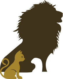 image cat lion ssfond